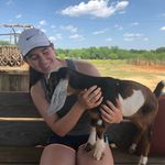Dana Whiting - @thedaily.dan - Instagram