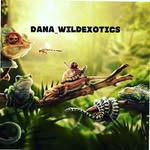 DaNa_WildExotics - @dana_wildexotics - Instagram