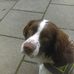 Dana Willie - Facebook
