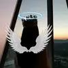 Dana Zuber - @user938676702 - TikTok