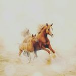danae green - @danae9430 - Instagram