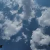 Fernanda Hernández - @danaemoore17 - TikTok