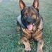 Dane Bender - Facebook