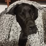 Dane.Bentley2021 - @dane.bentley2021 - Instagram