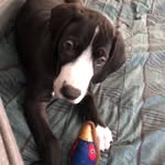 Bruce Dane - @thebrucedane - Instagram