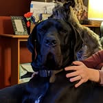 Bruce Dane - @the_bruce_dane - Instagram