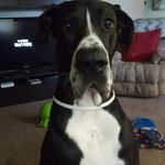 Bruce Smith - @bruce__dane - Instagram