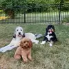 Dane burns - @dane.burns - TikTok