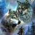 Dane Bush - Facebook