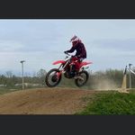 Dane Bush - @dane_bush - Instagram