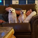 Dane Cagle - Facebook