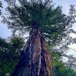 Dane Caldwell-Holden - @duchanga - Instagram