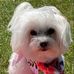 Dianne Lasiter Kalvelage - Facebook