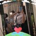 Dina Cañete - Facebook