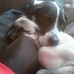 Dane &amp; Polly Chamberlain - Facebook