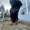 Dane Chamberlain - @flash3y - TikTok