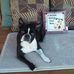 Diane Chamberlain - Facebook