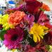 Diane Chamberlain - Facebook