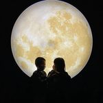Dane Chan - @dane_chan - Instagram