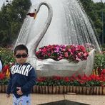 Dane Chan - Facebook