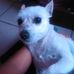 Dane Charles - Facebook