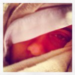 danechristopher - @danechristopher - Instagram
