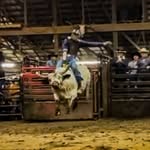 Dane Coleman - @ceo.of.cte - Instagram
