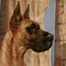 Great Dane Art, Craft &amp; Education - Facebook