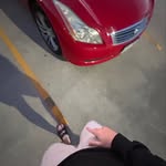 @dane.crockett - Instagram