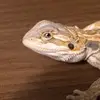 Courtney Dane Dalton - @raye5996696 - TikTok