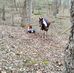 Diane Daugherty - Facebook