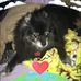 Dane Dawes - Facebook