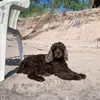 danedudley7 - @danedudley7 - TikTok