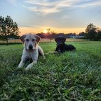 Dane Durbin - Facebook
