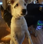 Dane Ewald - Facebook