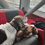 Dane Ferguson - Facebook