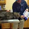 Dane Fish - @dane.fish - TikTok