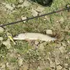 Dane_fishing - @dane_fishing - TikTok