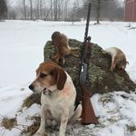 Dane Fitzgerald - @therealswampman_19 - Instagram