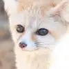 gooddane_ - @gooddane_ - TikTok