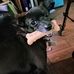 Dane Grant - Facebook