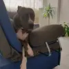 Draco - @guerradane - TikTok