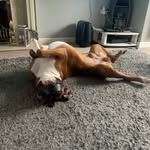 Dane Hammond - @dane___hammond - Instagram
