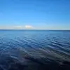 DaneHarris - @daneharris74 - TikTok