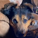 Dane Hill - @dane.hill.980 - Instagram