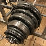 Danehill Iron - @danehill.iron - Instagram