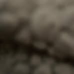 Dane Kerney - Facebook