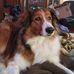 Dani Knutsen - Facebook