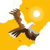 daneillaird - @daneillaird - TikTok