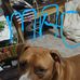 Dane Lane - Facebook
